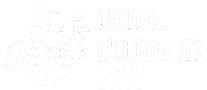 Logo Digital Innovation Days